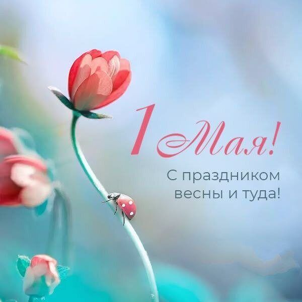 С 1 мая